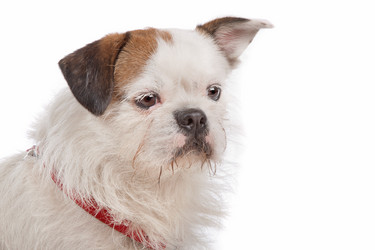 Similar image 1471374