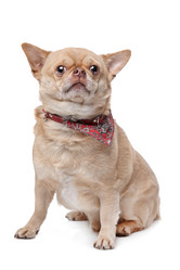 Similar image 1471375