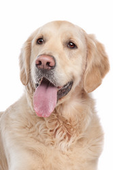 Similar image 1471377