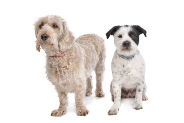 Similar image 1471380