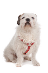 Similar image 1471384