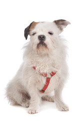 Similar image 1471400