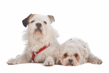 Similar image 1471408