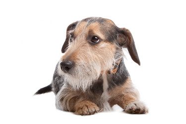 Similar image 1471411