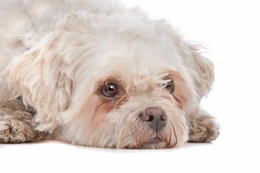 Similar image 1471413