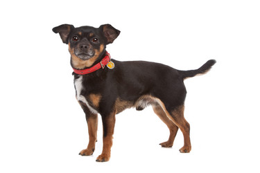 Similar image 1471426