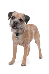 Similar image 1471445