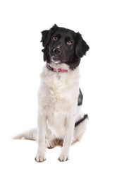 Similar image 1471447