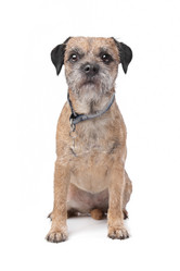 Similar image 1471448