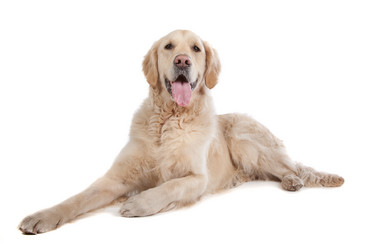 Similar image 1471449