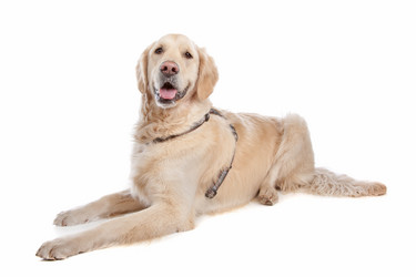 Similar image 1471452