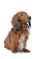 Similar image 1471455