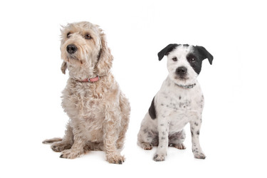 Similar image 1471465