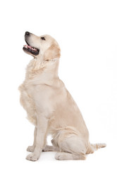 Similar image 1471471