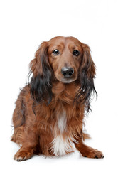 Similar image 1471473