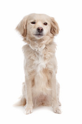 Similar image 1471479