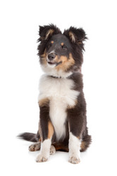 Similar image 1471496