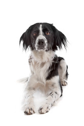 Similar image 1471498