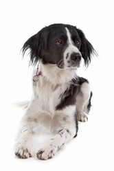 Similar image 1471499