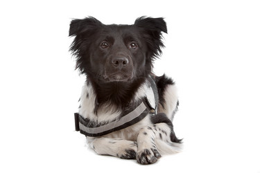 Similar image 1471505