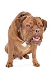 Similar image 1471506