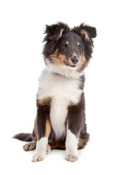 Similar image 1471508