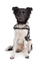 Similar image 1471509