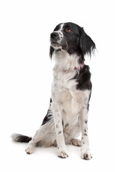 Similar image 1471513