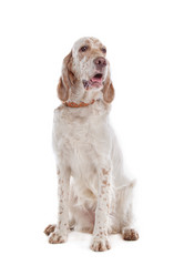 Similar image 1471530