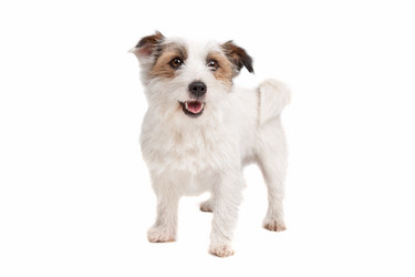 Similar image 1471534