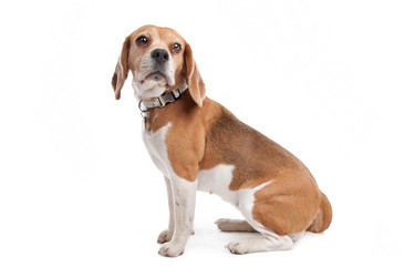 Similar image 1471540