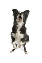 Similar image 1471555