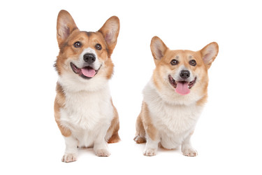 Similar image 1471567