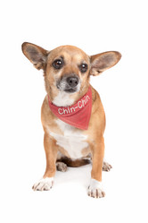 Similar image 1471568