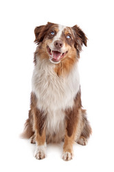 Similar image 1471575