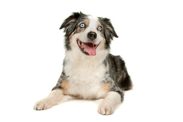 Similar image 1471577