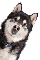 Similar image 1471579