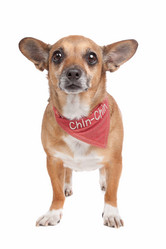 Similar image 1471587