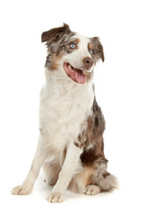 Similar image 1471591