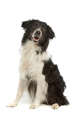 Similar image 1471595