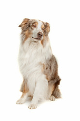 Similar image 1471604