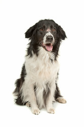 Similar image 1471618