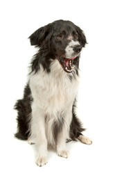 Similar image 1471633