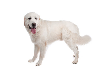 Similar image 1471649