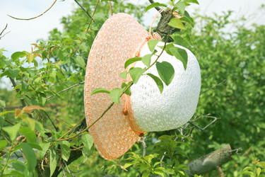 Similar image 1471695