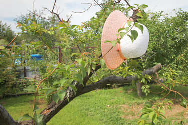 Similar image 1471696