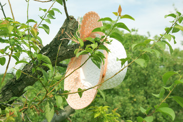 Similar image 1471698