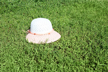 Similar image 1471703