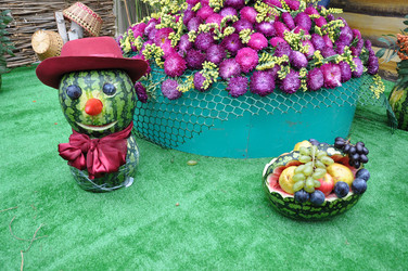 Similar image 1471708