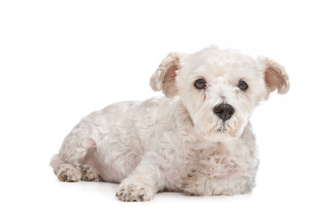 Similar image 1471794